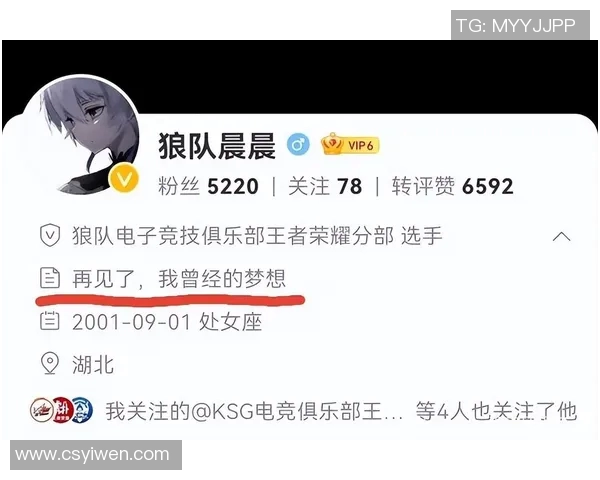 esports数据王者荣耀深度解析LNG战队的团队协作与战略配合技巧